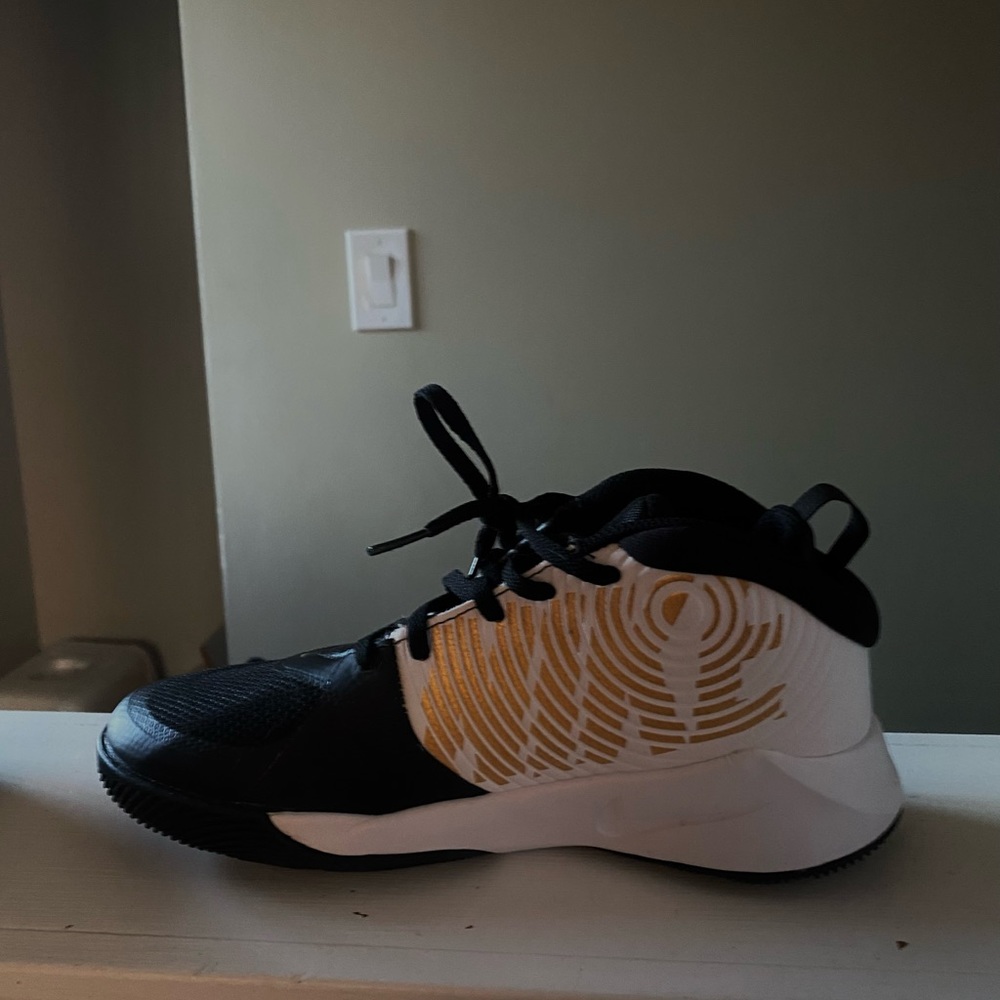 Nike Team Hustle d9 Basketball shoes